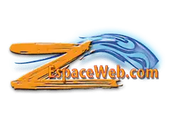 L'expertise numérique au service des particuliers et des professionnels.